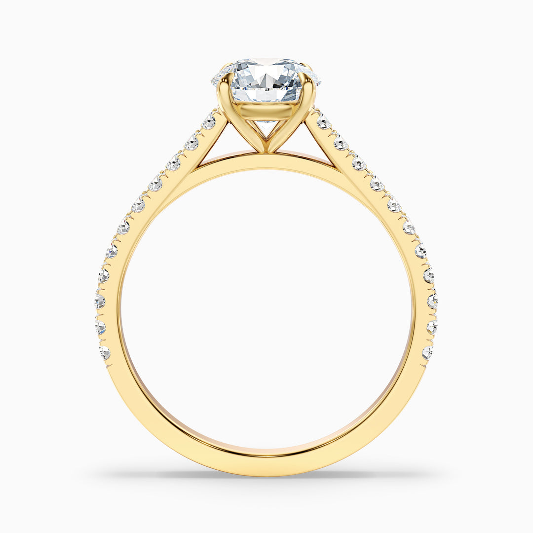 Hope 4.5 Carat Round Side Stone Pave Lab Grown Diamond Ring in Platinum - Side View