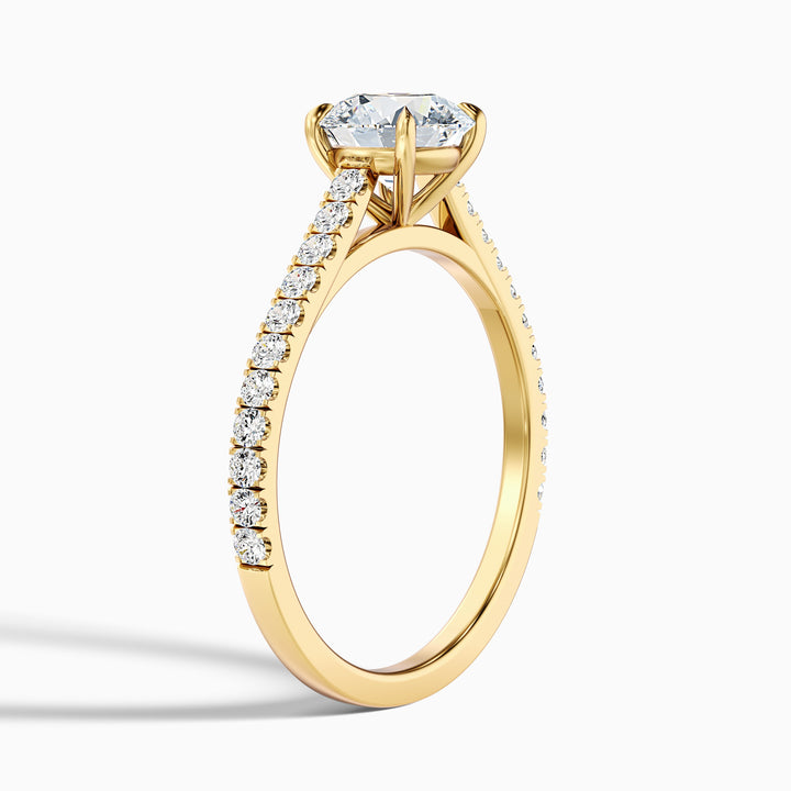 Hope 5 Carat Round Side Stone Pave Lab Grown Diamond Ring in 14k Yellow Gold - Detail View