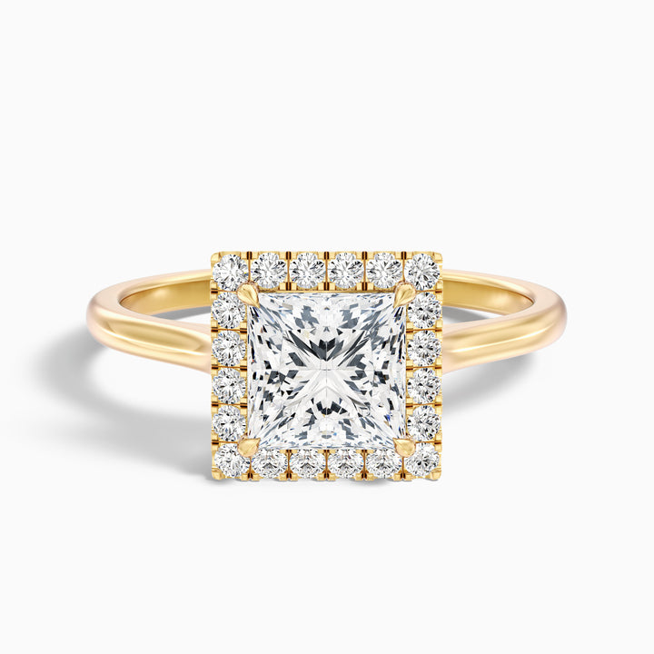 Bela 1 Carat Princess Cut Halo Moissanite Engagement Ring - Front View