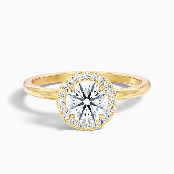 Arya 1 Carat Round Halo Lab Grown Diamond Ring in 14k Yellow Gold - Front View