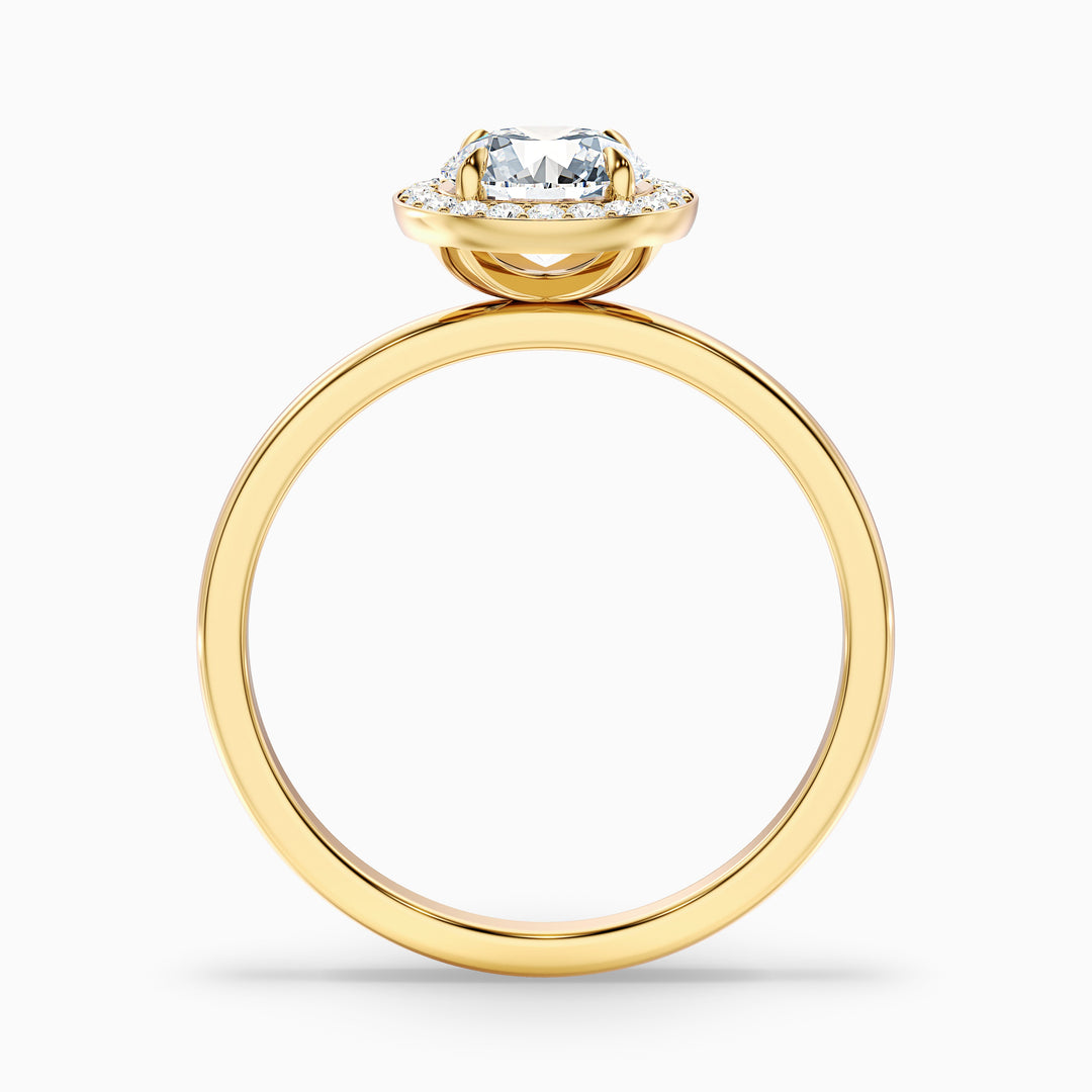 Arya 2.5 Carat Round Halo Lab Grown Diamond Ring in 18k Yellow Gold - Side View