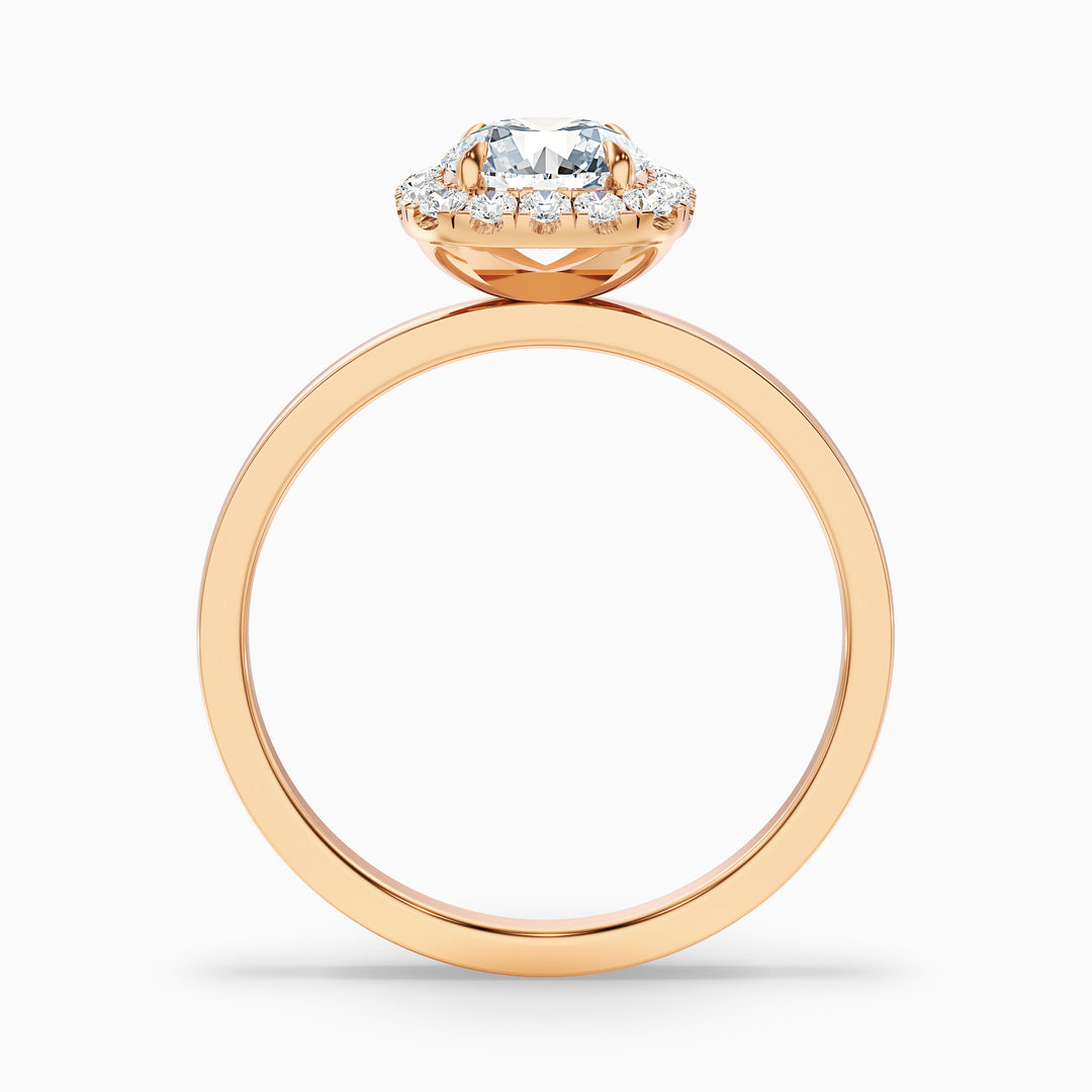 Anya 1 Carat Round Cut Halo Moissanite Engagement Ring - Side View