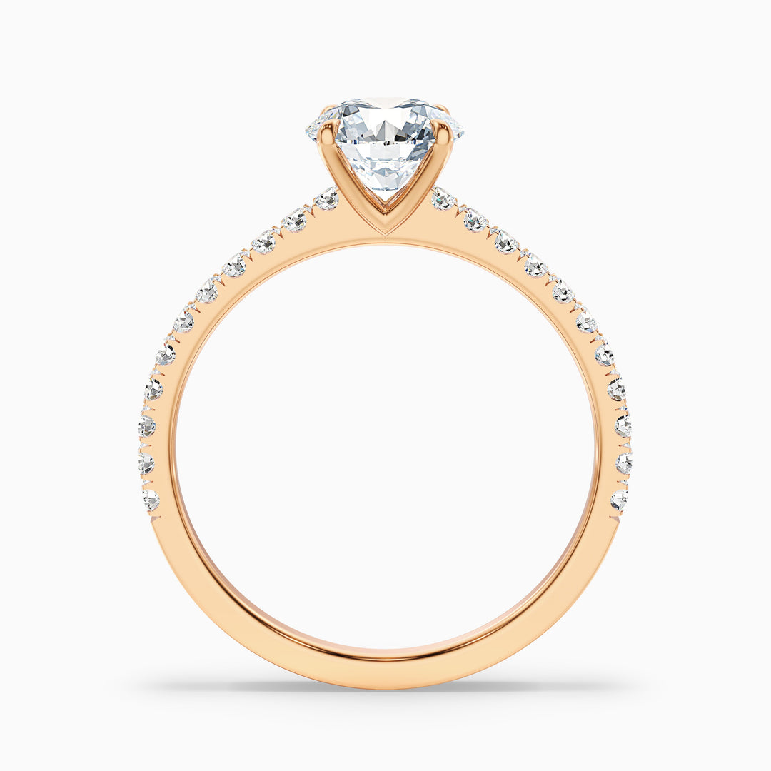 Sarah 4 Carat Round Side Stone Pave Lab Grown Diamond Ring in Platinum - Side View