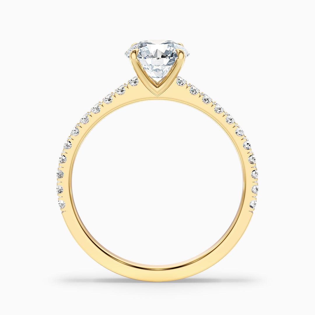 Sarah 2.5 Carat Round Side Stone Pave Lab Grown Diamond Ring in 10k White Gold - Side View