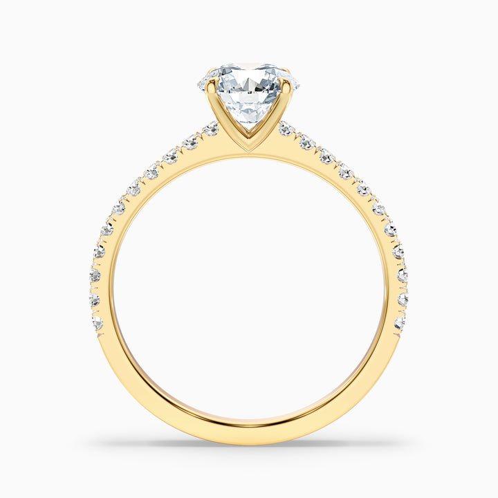 Sarah 2.5 Carat Round Side Stone Pave Lab Grown Diamond Ring in 10k White Gold - Side View