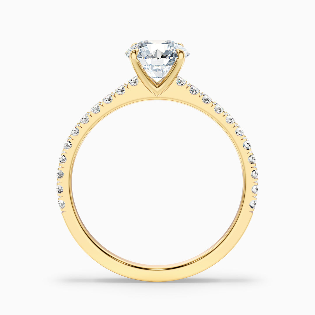 Sarah 2 Carat Round Side Stone Pave Lab Grown Diamond Ring in Platinum - Side View