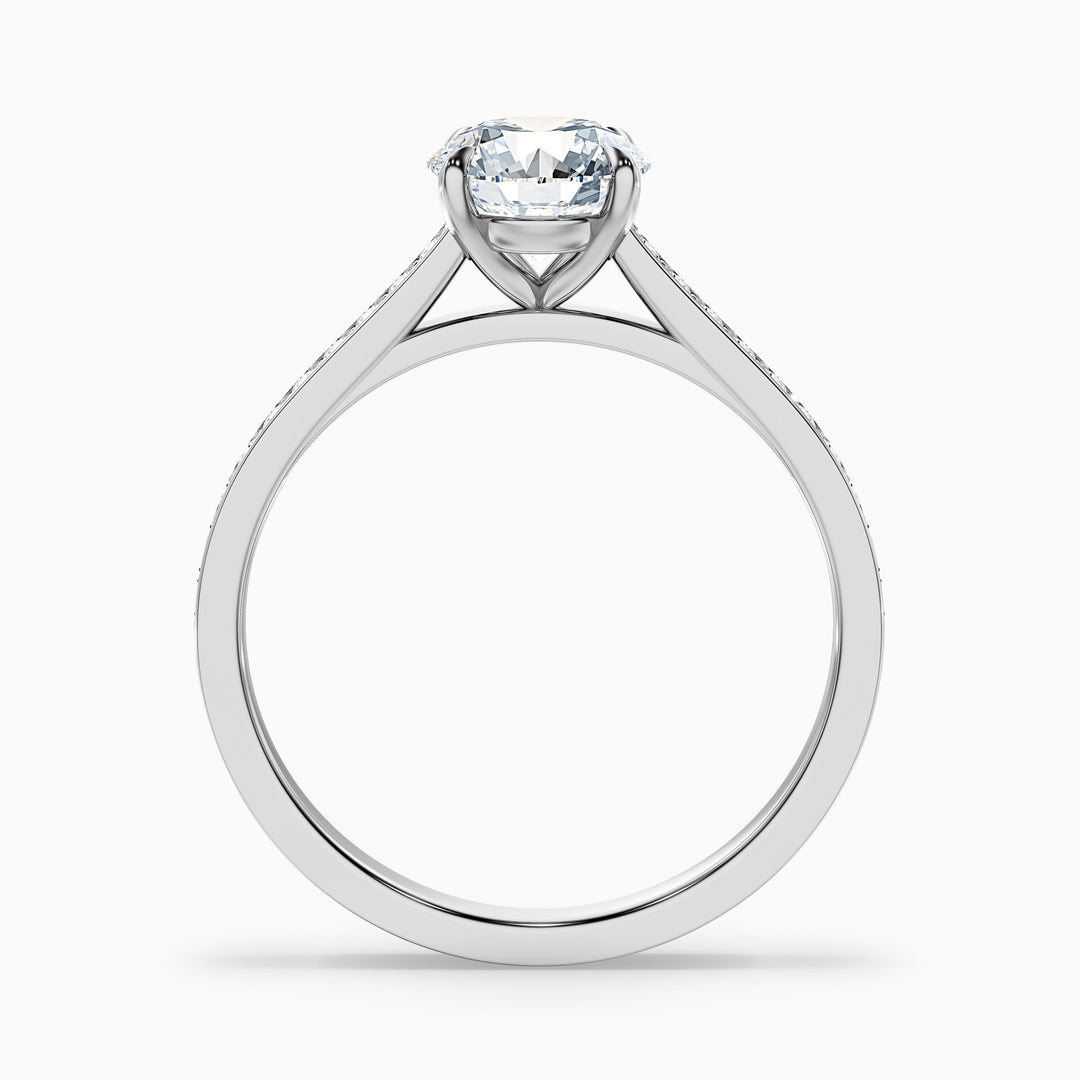 Sofia 3 Carat Round Side Stone Pave Lab Grown Diamond Ring in Platinum - Side View