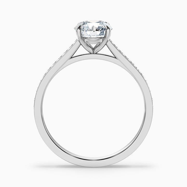 Sofia 2.5 Carat Round Side Stone Pave Lab Grown Diamond Ring in Platinum - Side View