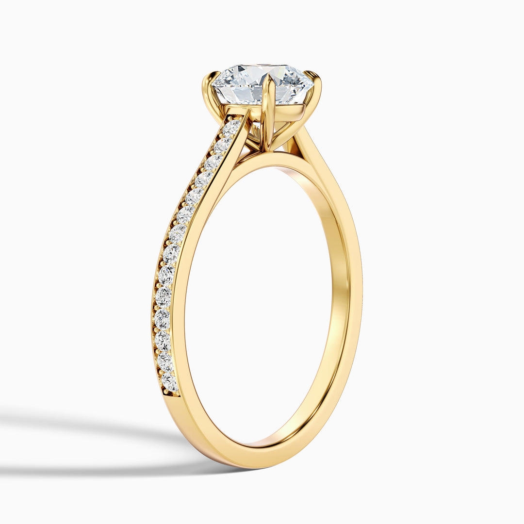 Sofia 3 Carat Round Side Stone Pave Lab Grown Diamond Ring in Platinum - Detail View
