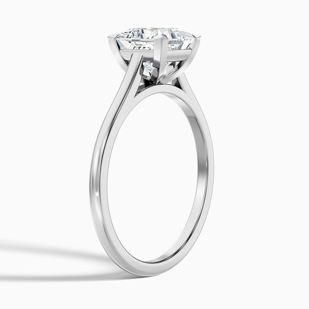 Frey 4 Carat Princess Cut Solitaire Lab Grown Diamond Ring in Platinum - Detail View