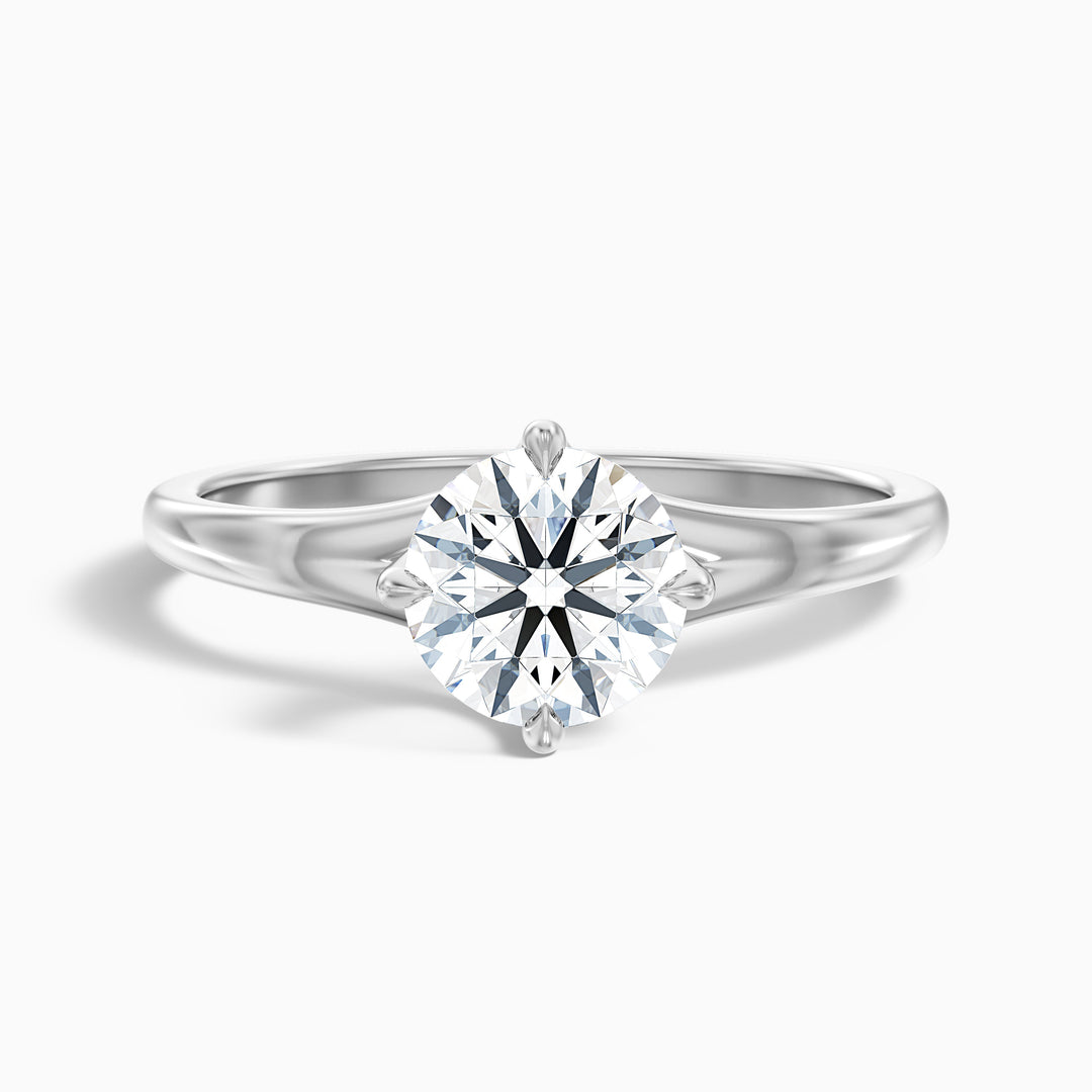 ally 10 carat round cut solitaire moissanite engagement ring in 925 sterling silver - Front View