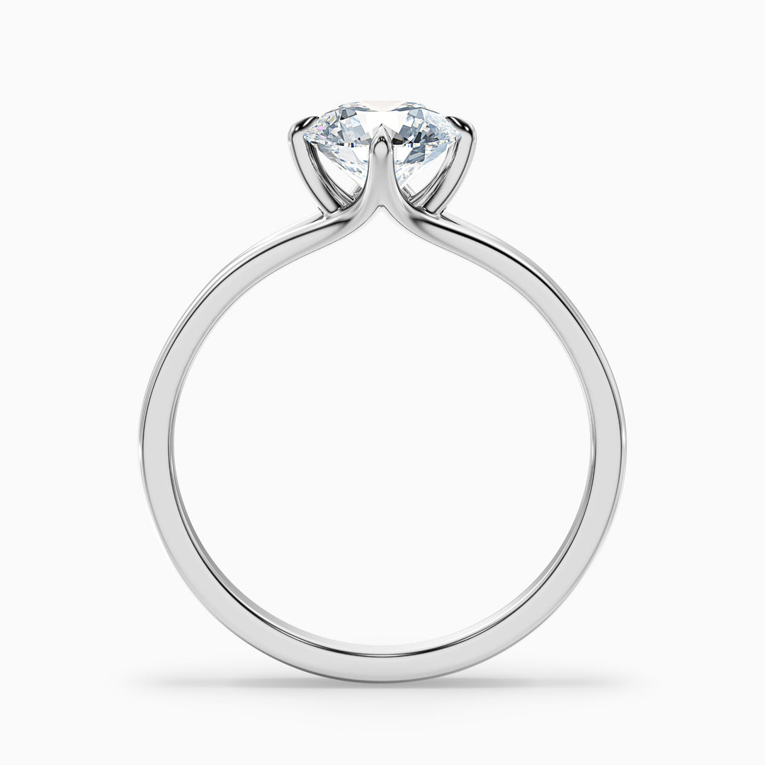 ally 8 carat round cut solitaire moissanite engagement ring in 14k white gold -  Side View