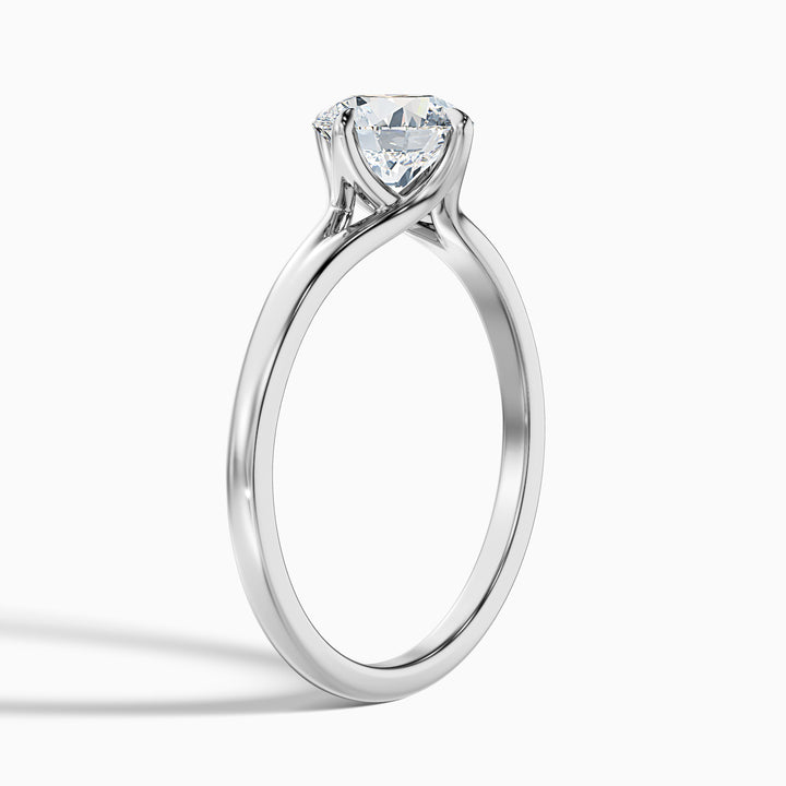 Nelli 4 Carat Round Cut Solitaire Lab Grown Diamond Ring in 18k White Gold - Detail View