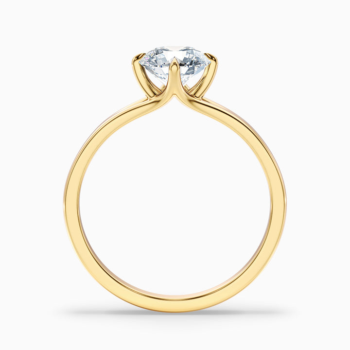 Nelli 3.5 Carat Round Cut Solitaire Lab Grown Diamond Ring in 10k Yellow Gold - Side View