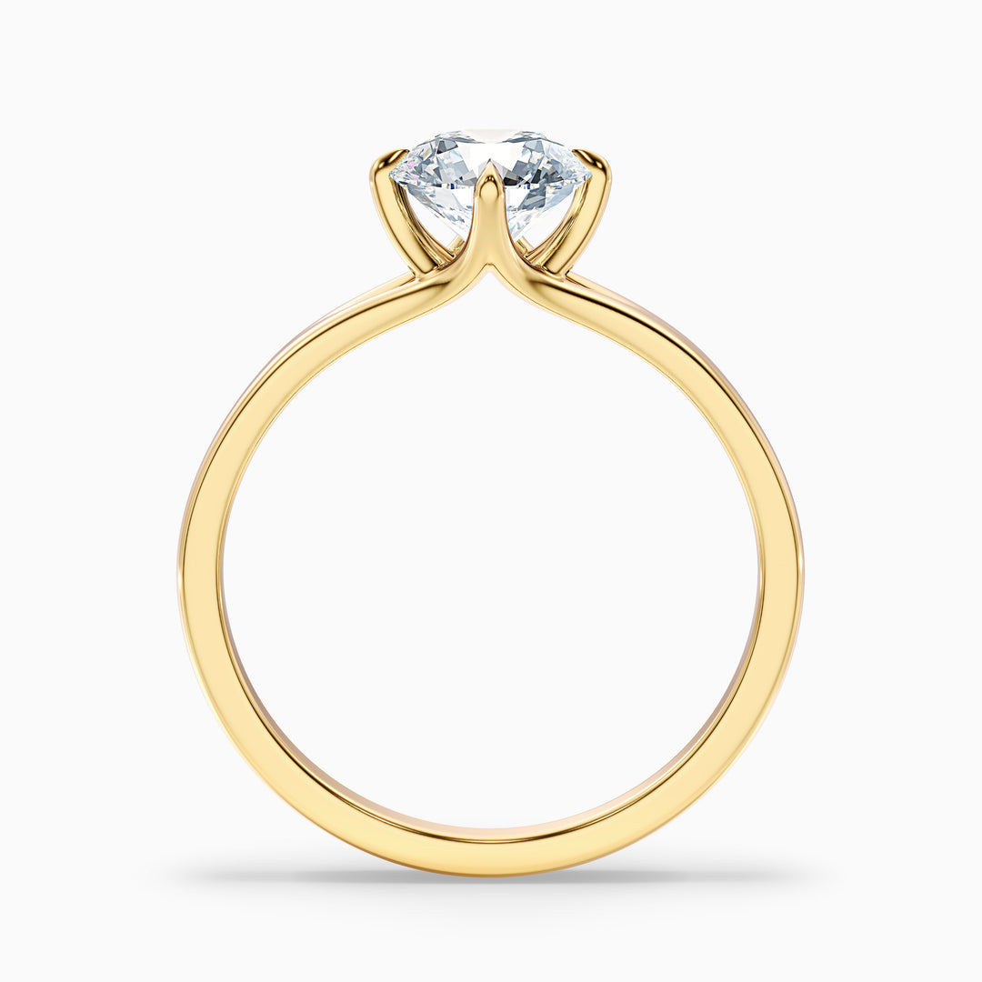 ally 7 carat round cut solitaire moissanite engagement ring in 10k yellow gold -  Side View