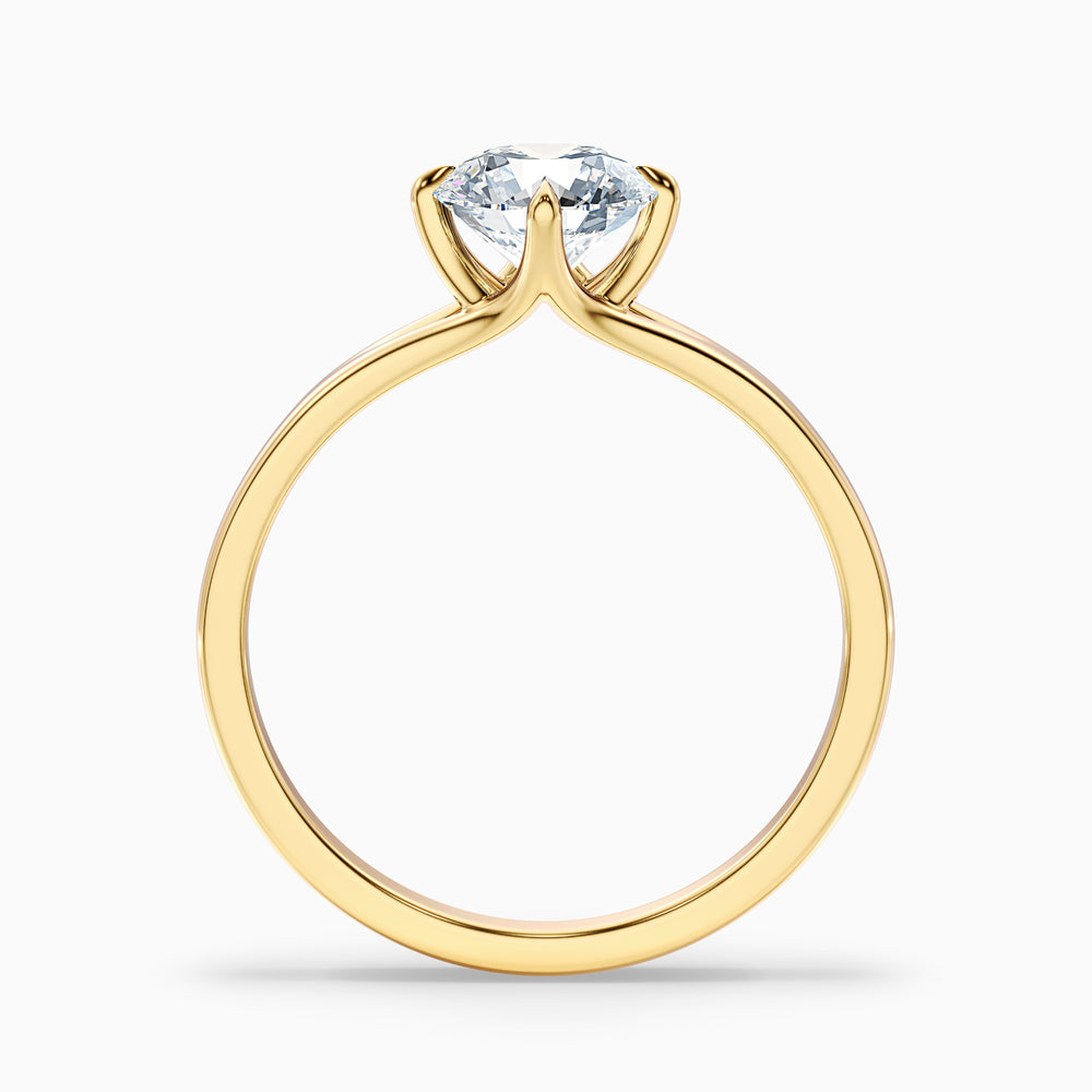 ally 10 carat round cut solitaire moissanite engagement ring in 14k yellow gold -  Side View