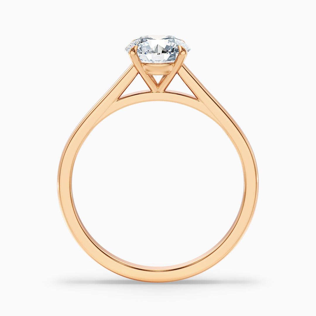 Anika 5 Carat Round Cut Solitaire Lab Grown Diamond Ring in 18k Yellow Gold - Side View