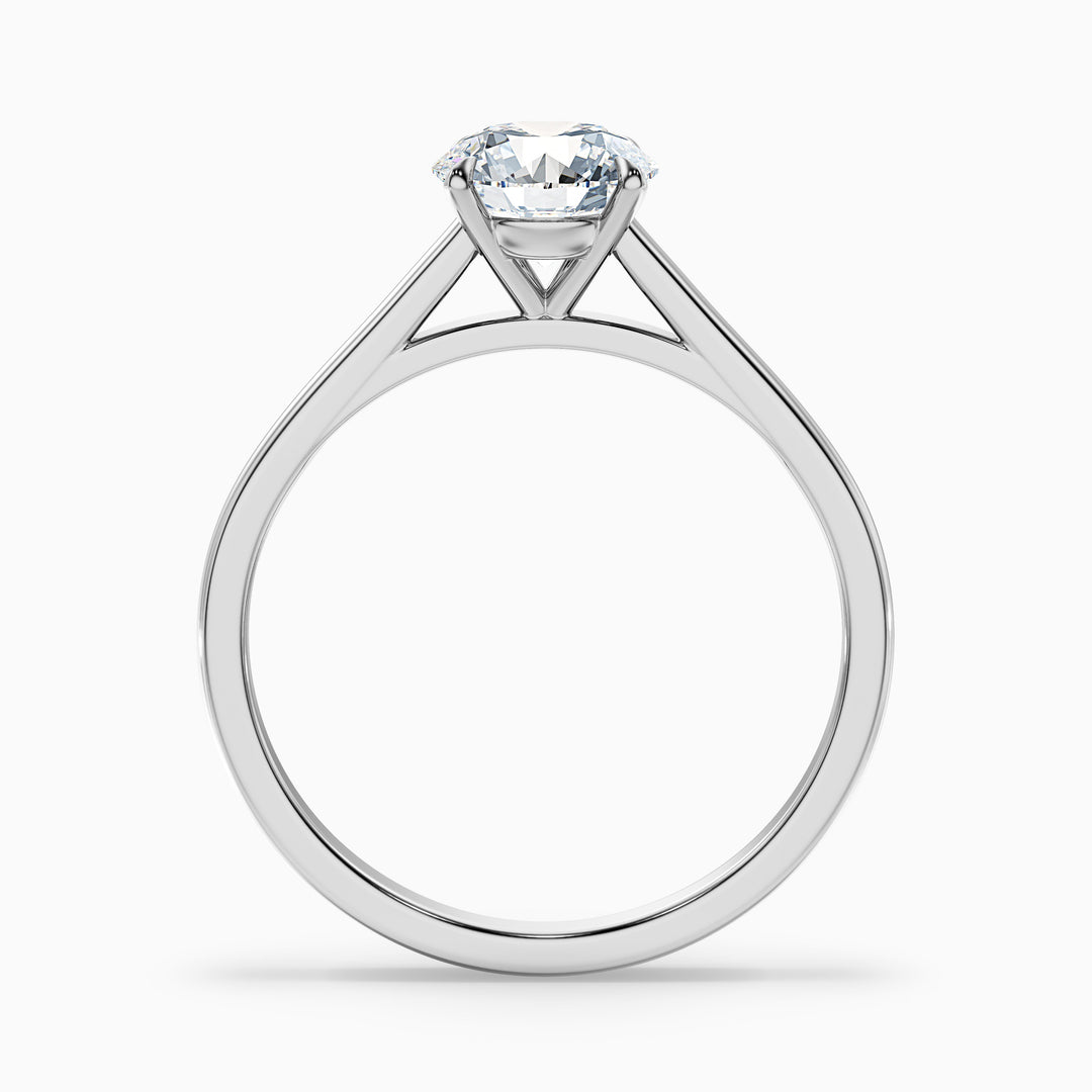 Anika 3.5 Carat Round Cut Solitaire Lab Grown Diamond Ring in 10k White Gold - Side View