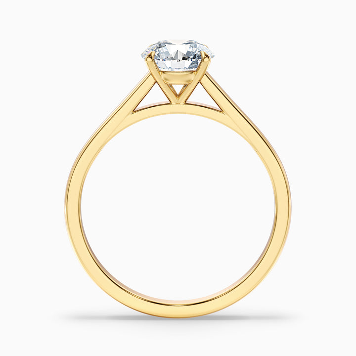 Anika 5 Carat Round Cut Solitaire Lab Grown Diamond Ring in 18k Yellow Gold - Side View