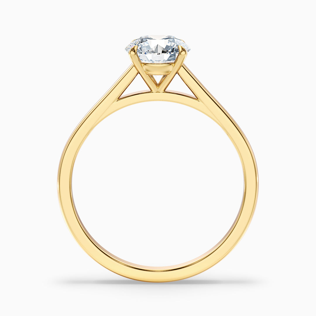 Anika 3 Carat Round Cut Solitaire Lab Grown Diamond Ring in 10k Yellow Gold - Side View