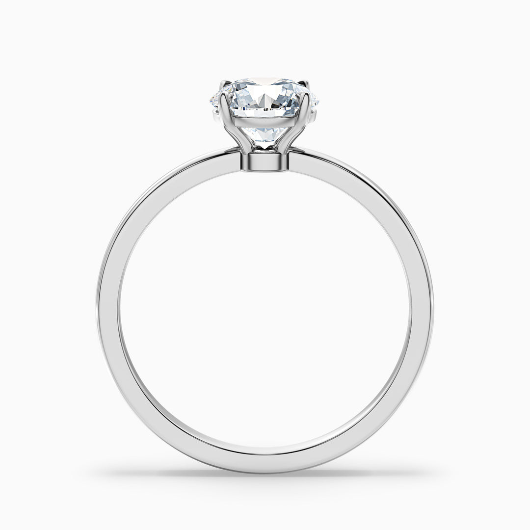 willy 1 carat round cut low profile solitaire lab grown diamond ring in 10k yellow gold - Side View