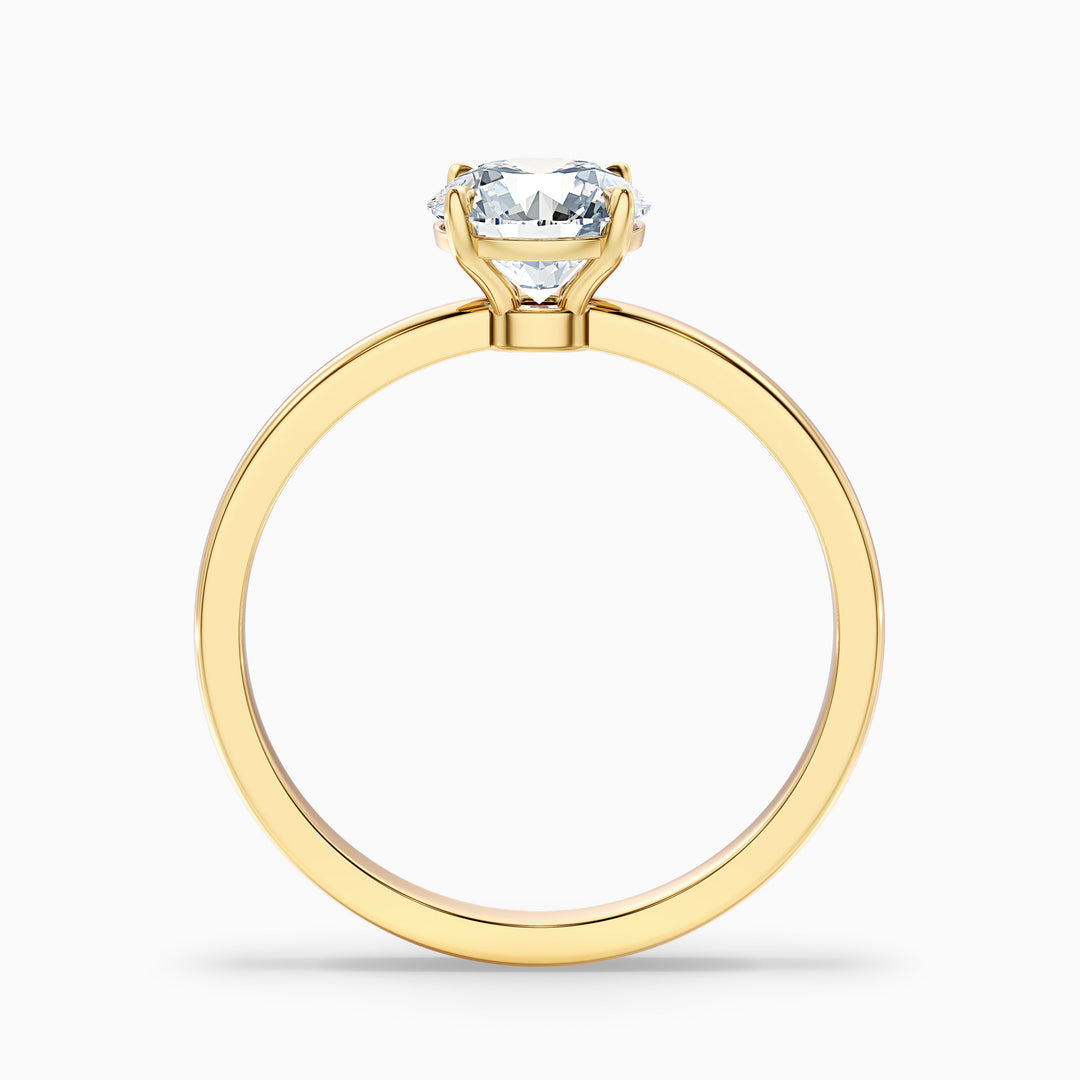 Arlen 1 Carat Round Cut Low Profile Solitaire Moissanite Diamond Ring in 10k Yellow Gold